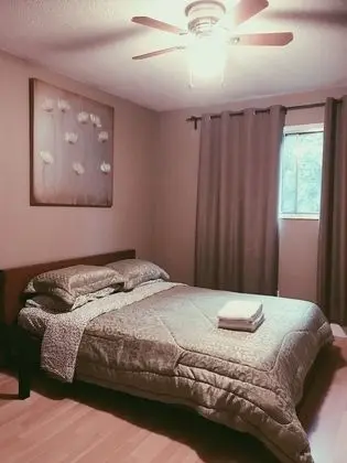 Basic Oda, 1 Tek Kişilik Yatak, Sigara İçilmez