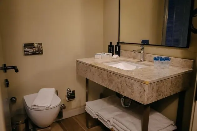 https://images.etstur.com/files/images/hotelImages/TR/220399/l/PRIVE-HOTEL-DIDIM-Oda-397546.jpg