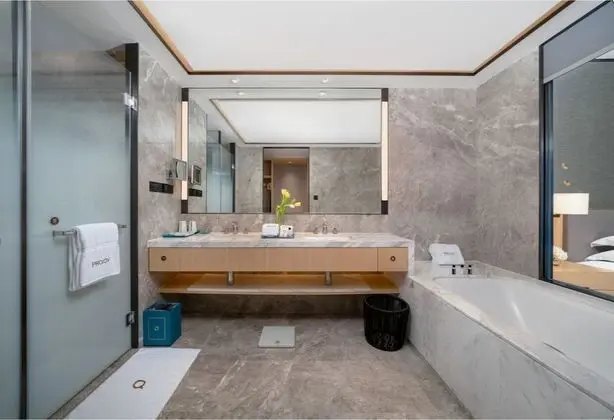 Premier Tek Büyük Yataklı Oda, 1 Yatak Odası