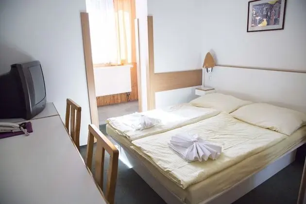 Basic Tek Büyük veya İki Ayrı Yataklı Oda (with extra bed)