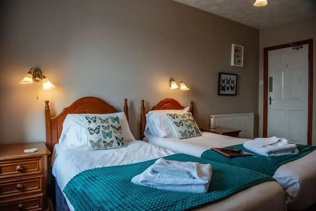 Comfort Oda, 2 Tek Kişilik Yatak, Dağ Manzaralı