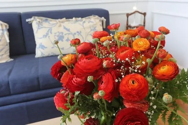 Junior Süit, Balkon, Deniz Manzaralı