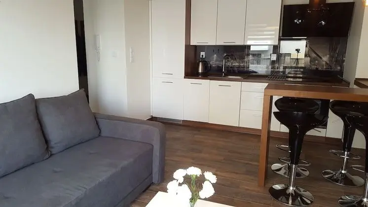 Comfort Apart Daire, 1 Yatak Odası, Balkon