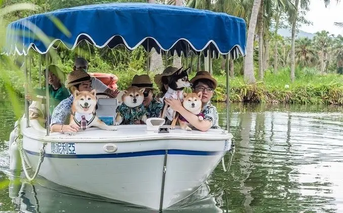 Deluxe İki Ayrı Yataklı Oda (Pet Friendly)