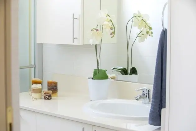 Apart Daire, 1 Yatak Odası (communal pool)