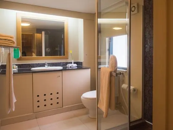 Çatı Katı (Loft), 1 Yatak Odası