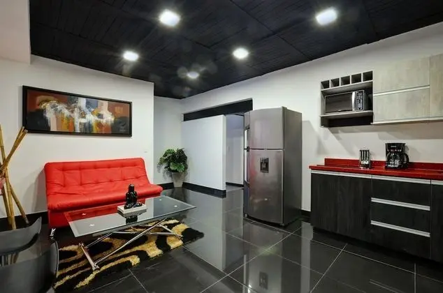 Provence Lofts 203