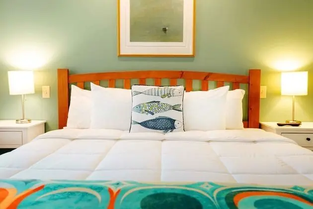 Oda, 1 En Büyük (King) Boy Yatak ve Çekyat, Özel Banyo, Resort Manzaralı