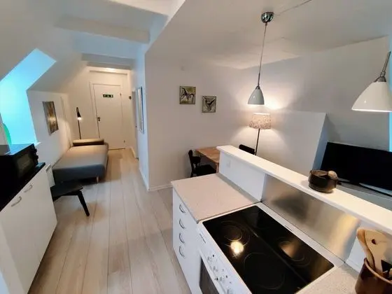 Classic Apart Daire, 1 Yatak Odası, Bahçe Manzaralı