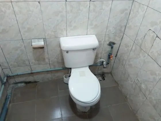 Standard Oda