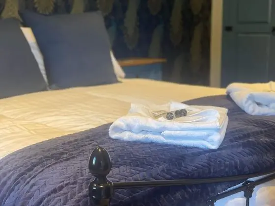 Tek Büyük Yataklı Oda, Engellilere Uygun, Banyolu/Duşlu