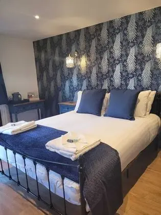 Tek Büyük Yataklı Oda, Engellilere Uygun, Banyolu/Duşlu