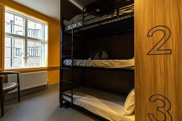 Bed in 9 Bed Mixed Dormitory Room with