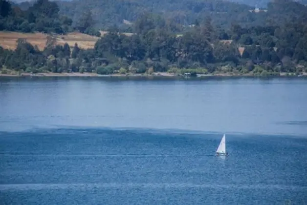 Panoramic Stüdyo Süit, 1 Yatak Odası