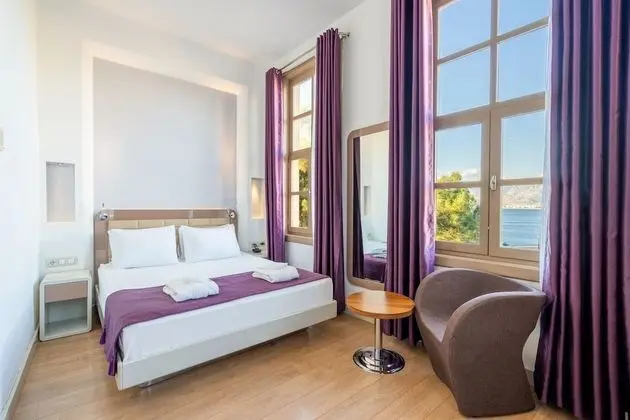 Deluxe Oda, 1 Çift Kişilik Yatak