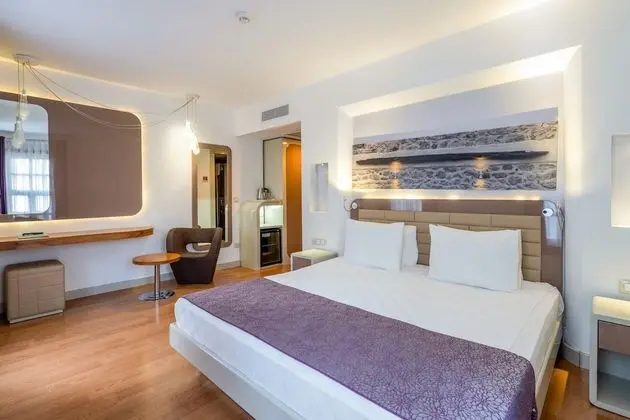 Standard Double or Twin Triple Room