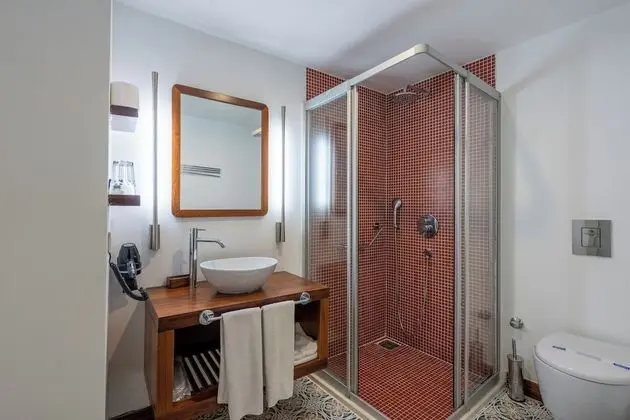 Standard Double or Twin Triple Room