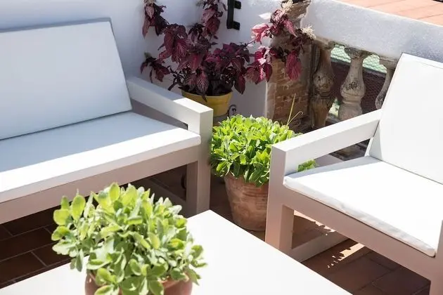 Panoramic Çatı Katı Süiti (Penthouse), Teras