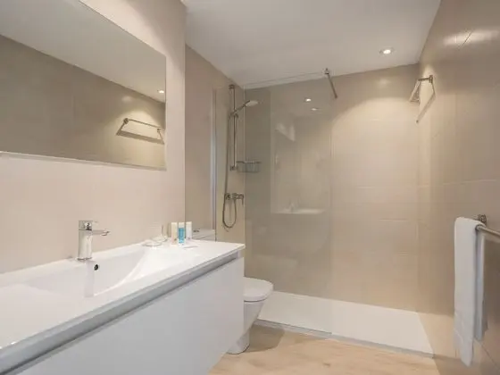 Süit