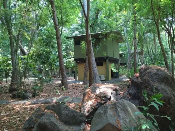 Casa del Arbol (3 pax)
