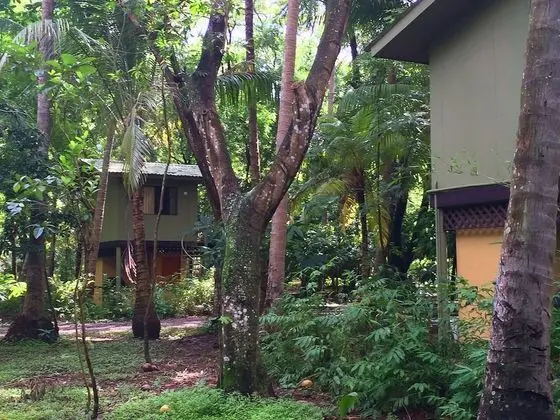 Casa del Arbol (3 pax)