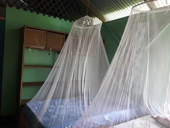 Üç Kişilik Oda, Birden Çok Yatak, Özel Banyo