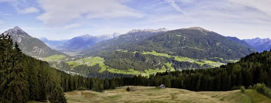 Platzhirsch
