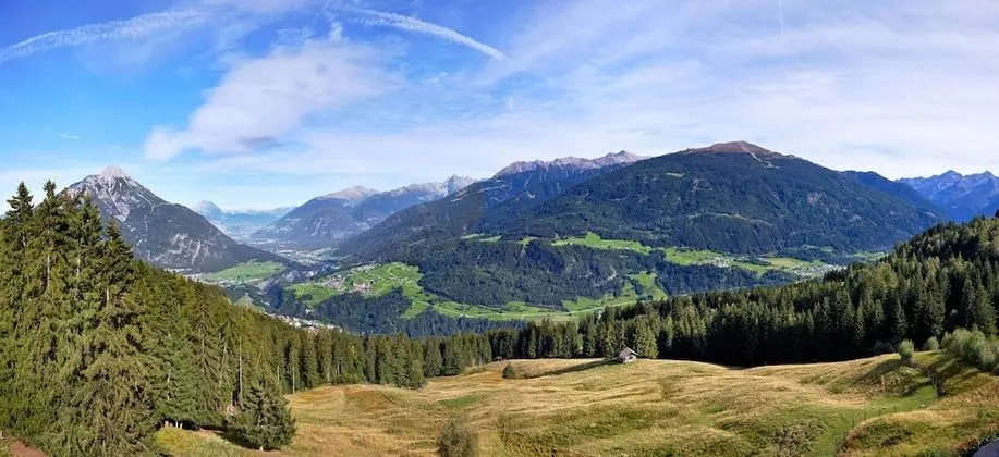 Platzhirsch