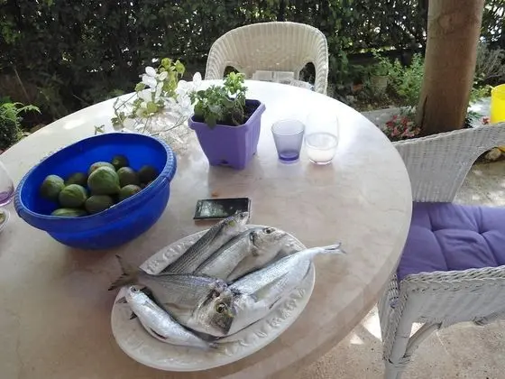 Oda, 1 Yatak Odası, Sigara İçilebilir, Balkon