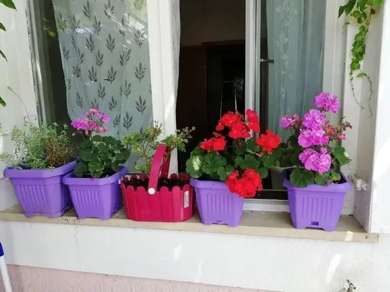 Oda, 1 Yatak Odası, Sigara İçilebilir, Balkon