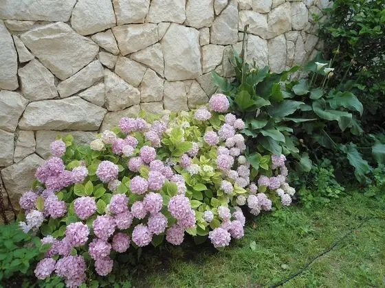 Oda, 1 Yatak Odası, Sigara İçilebilir, Balkon