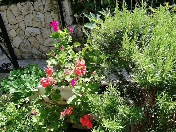 Oda, 1 Yatak Odası, Sigara İçilebilir, Balkon