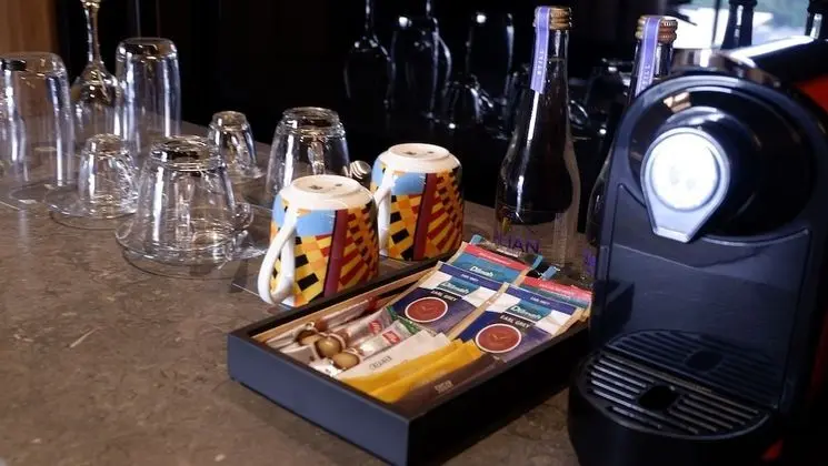 Deluxe Oda, 1 En Büyük (King) Boy Yatak, Şehir Manzaralı