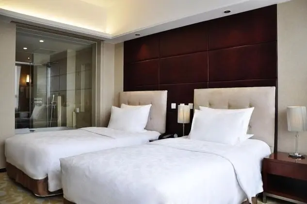 Deluxe Oda, 2 Tek Kişilik Yatak, Business Dinlenme Salonu Kullanımı (Executive, High Floor)