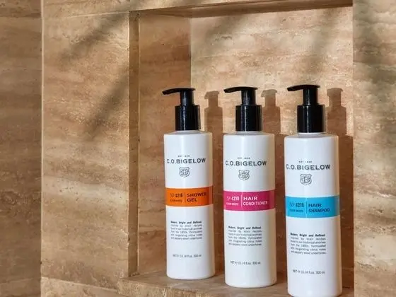 Deluxe Oda, 2 Tek Kişilik Yatak