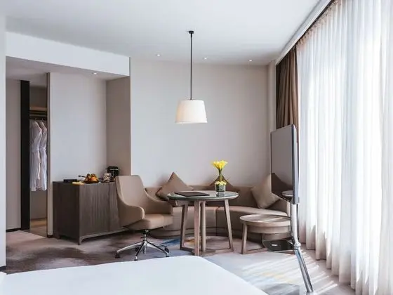 Deluxe Oda, 1 En Büyük (King) Boy Yatak, Şehir Manzaralı
