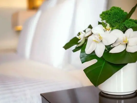 Deluxe Oda, 2 Tek Kişilik Yatak, Balkon, Deniz Manzaralı