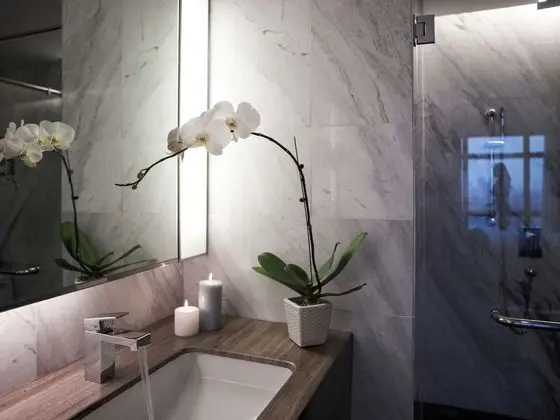 Deluxe Oda, 2 Tek Kişilik Yatak, Şehir Manzaralı