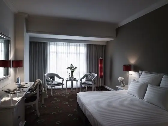 Superior Oda, 1 En Büyük (King) Boy Yatak, Şehir Manzaralı
