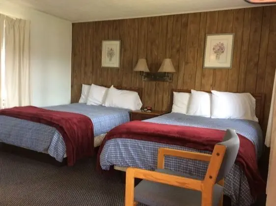 Basic Tek Büyük Yataklı Oda, 2 Çift Kişilik Yatak, Buzdolabı ve Mikrodalga, Avlu Manzaralı