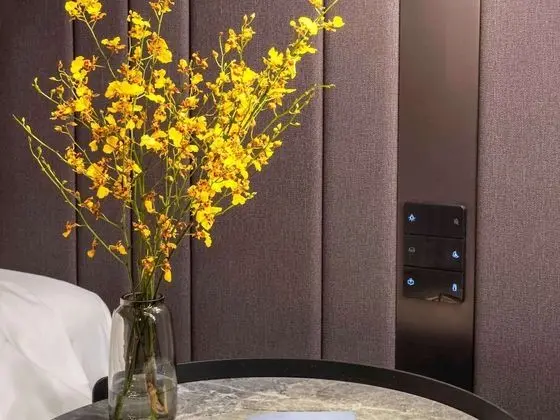 Deluxe Oda, Business Dinlenme Salonu Kullanımı, Manzaralı (Executive, High Floor)