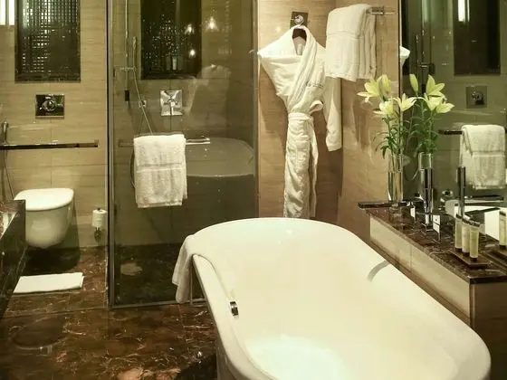 Executive İki Ayrı Yataklı Oda, 2 Tek Kişilik Yatak, Business Dinlenme Salonu Kullanımı