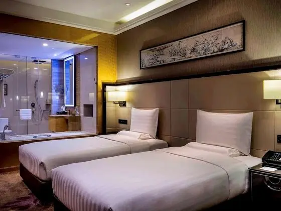 Deluxe Oda, 2 Tek Kişilik Yatak, Business Dinlenme Salonu Kullanımı (Executive)