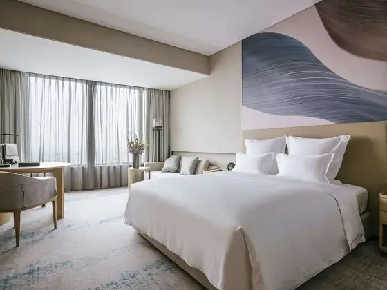 Deluxe Oda, 1 En Büyük (King) Boy Yatak, Business Dinlenme Salonu Kullanımı (Executive)