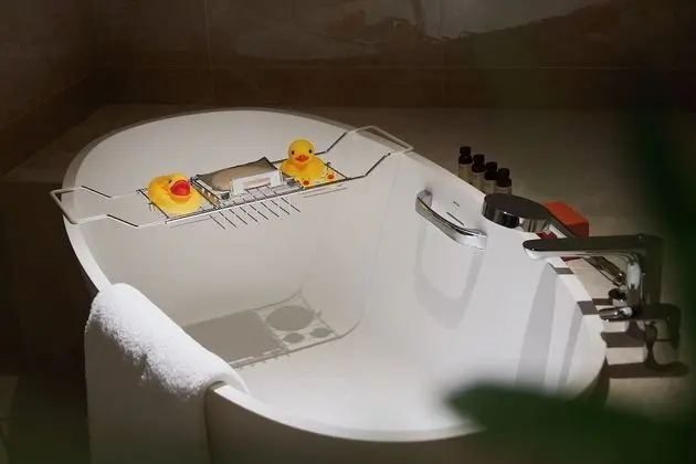 Superior Oda, 1 En Büyük (King) Boy Yatak, Şehir Manzaralı