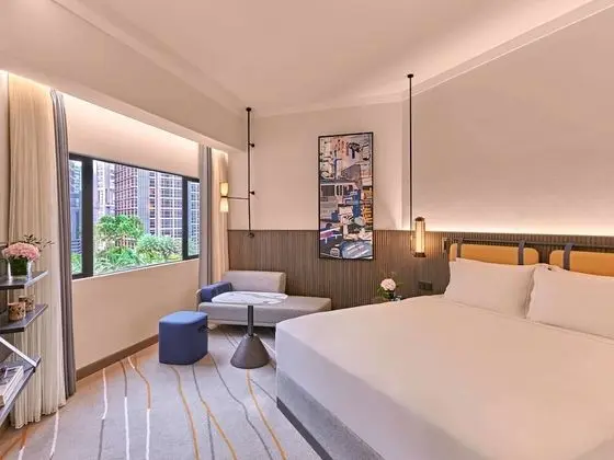 Deluxe Oda, 1 En Büyük (King) Boy Yatak, Şehir Manzaralı