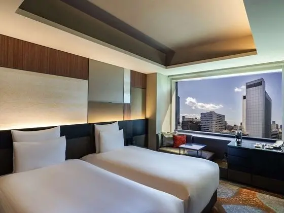 Deluxe Oda, 2 Tek Kişilik Yatak, Business Dinlenme Salonu Kullanımı (Deluxe)