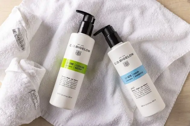 Deluxe Oda, 2 Tek Kişilik Yatak, Business Dinlenme Salonu Kullanımı (Deluxe)