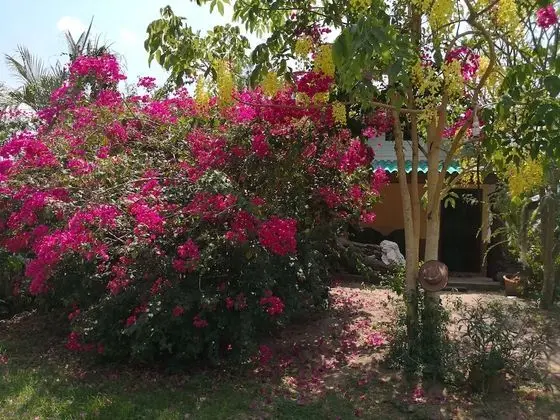 Comfort Bungalov, 1 Büyük (Queen) Boy Yatak, Sigara İçilmez