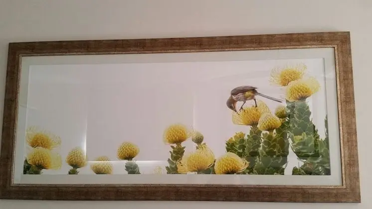 Comfort Tek Büyük Yataklı Oda, 1 Yatak Odası, Teras, Havuz Manzaralı